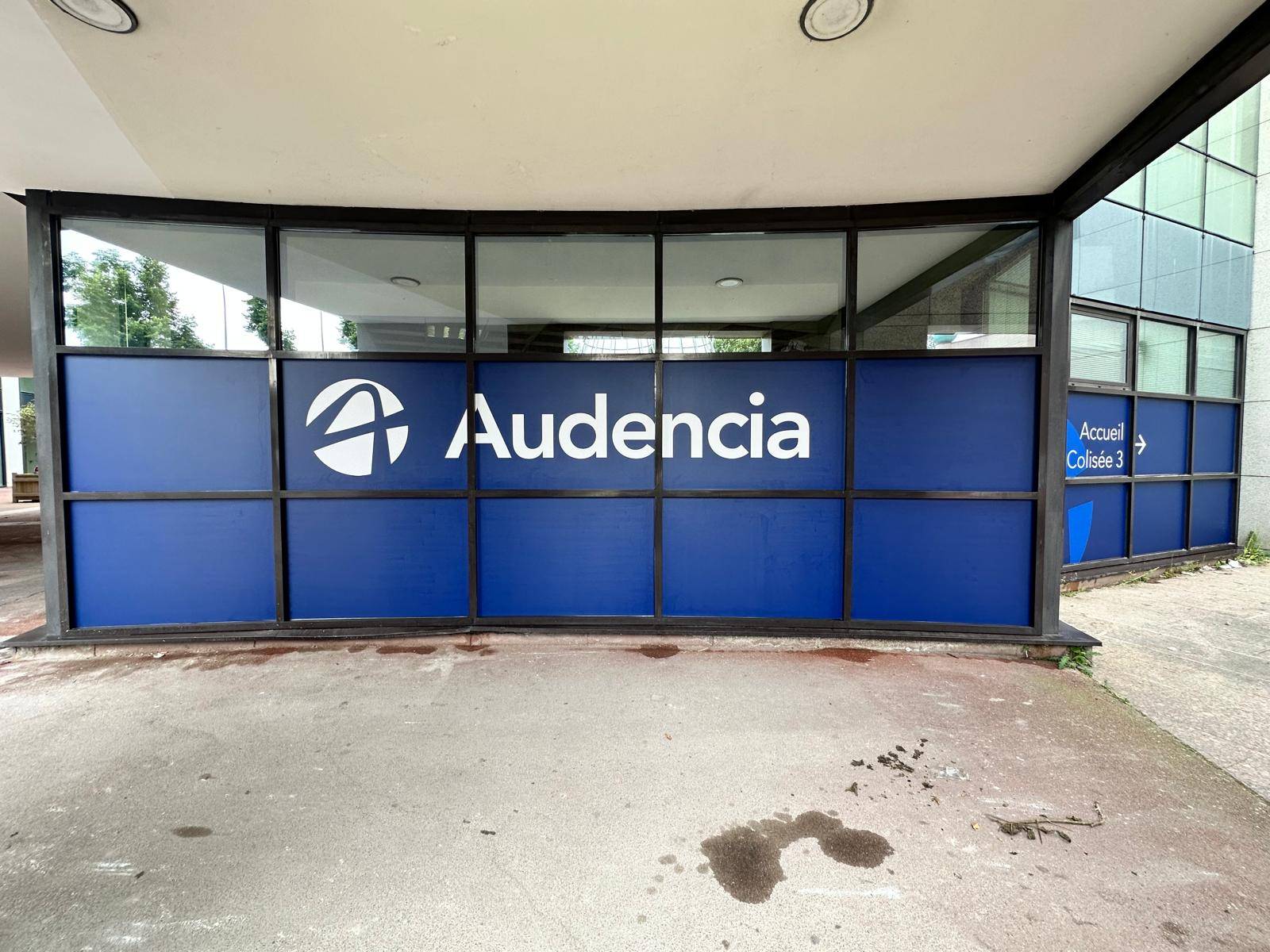 Habillage pour une palissade en bois extérieure Villepinte 93420 Seine-Saint-Denis